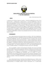 Vista preliminar de documento res_DEC_101_2021