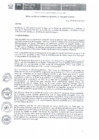 Vista preliminar de documento resolucion-014-2019-CVH-GG.pdf