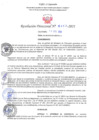 Vista preliminar de documento RD N°0453-2021.pdf