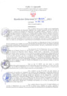 Vista preliminar de documento RD N°0464-2021.pdf