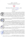 Vista preliminar de documento RD N°0471-2021.pdf