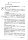 Vista preliminar de documento resolucion-gerencia-municipal-metropolitana-63-09072019.pdf