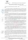 Vista preliminar de documento Resolución de alcaldia