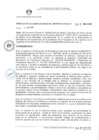 Vista preliminar de documento resolucion-gerencia-municipal-metropolitana-45-03062019.pdf