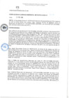 Vista preliminar de documento rgmm-nro-16-22022019.pdf