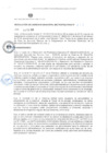 Vista preliminar de documento R.G. N° 10 06.02.2019 - GMM.pdf