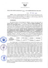Vista preliminar de documento RGRDS N° 334-2021
