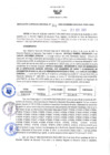 Vista preliminar de documento RGRDS N° 341-2021