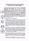 Vista preliminar de documento EJECUCION NUEVO CHIMBOTE
