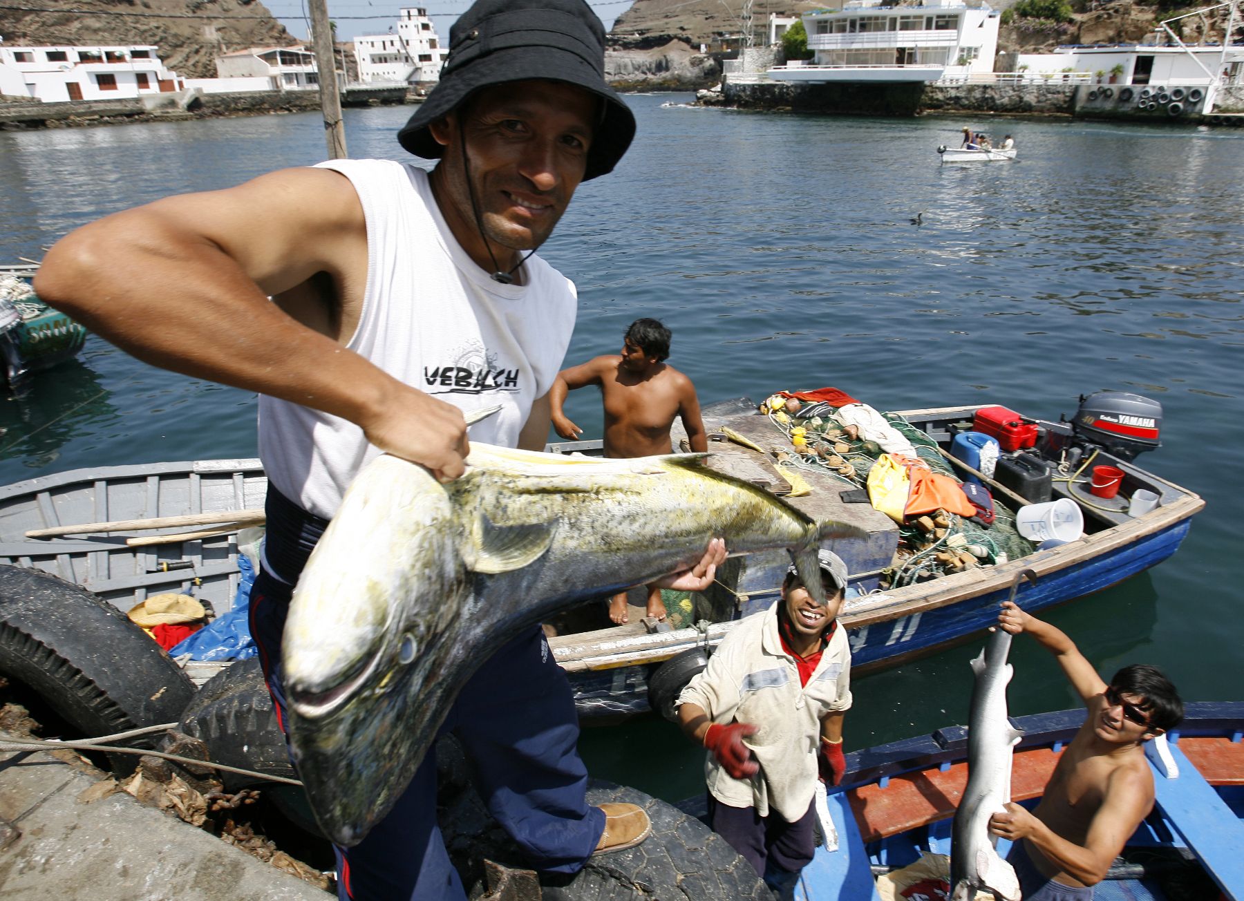 Perú busca reconocimiento de la UNESCO de las prácticas y significados asociados a la preparación y consumo del ceviche