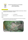 Vista preliminar de documento Creación del Puente Vehicular ligero en el jirón José de San Martin – Barrio de Cococho
