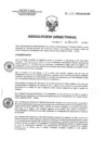 Vista preliminar de documento RD 230-2021-SA-DG-INR.pdf