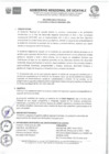 Vista preliminar de documento RESUMEN EJECUTIVO