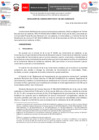 Vista preliminar de documento Resolución