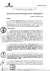 Vista preliminar de documento RGM_045-2020-MLV