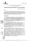 Vista preliminar de documento RGM_050-2020-MLV