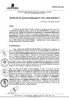 Vista preliminar de documento RGM_058-2020-MLV