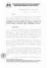 Vista preliminar de documento doc0771.pdf