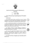 Vista preliminar de documento 2009