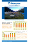 Vista preliminar de documento Boletín Mensual de Gas Natural Noviembre 2021