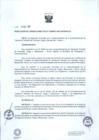 Vista preliminar de documento RCD N° D000061-2021-SUTRAN-CD