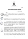 Vista preliminar de documento RDE 101-2021.pdf