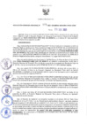 Vista preliminar de documento RES N°375-2021-GRDS