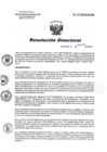 Vista preliminar de documento RD 237-2021-SA-DG-INR.pdf