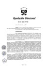 Vista preliminar de documento RD 221-2021-TP-DE.pdf