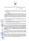 Vista preliminar de documento RGRDS N° 391-2021