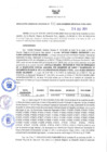 Vista preliminar de documento RGRDS N° 411-2021