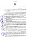 Vista preliminar de documento RGRDS N° 393-2021