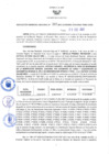 Vista preliminar de documento RGRDS N° 397-2021