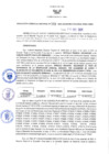 Vista preliminar de documento RGRDS N° 398-2021