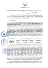 Vista preliminar de documento RGRDS N° 399-2021