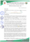 Vista preliminar de documento ORDENANZA MUNICIPAL N° 041-2019-MPB-OM