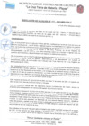 Vista preliminar de documento RES-ALC-171-2021.