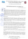 Vista preliminar de documento RES-ALC-176-2021.