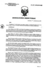 Vista preliminar de documento RD 238-2021-SA-DG-INR.pdf