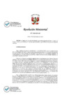 Vista preliminar de documento 1336-2021-IN