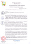Vista preliminar de documento Ordenanza Municipal
