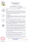Vista preliminar de documento Ordenanza Municipal