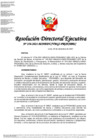 Vista preliminar de documento RDE n.º 256-2021-MINEDU-VMGI-PRONABEC