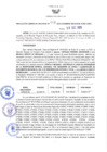 Vista preliminar de documento RGRDS N° 412-2021