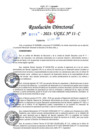 Vista preliminar de documento R.D APROBAR DIRECTIVA 17.pdf