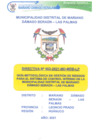 Vista preliminar de documento Directiva 002.pdf