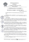 Vista preliminar de documento R.A. N.° 265-2021-MPC 