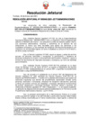 Vista preliminar de documento Resolución Jefatural