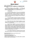 Vista preliminar de documento Resolución Jefatural