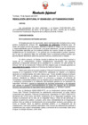 Vista preliminar de documento Resolución Jefatural